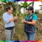 TALLER COMUNITARIO DE HUERTOS EN EL RECINTO PILARON ALTO.
