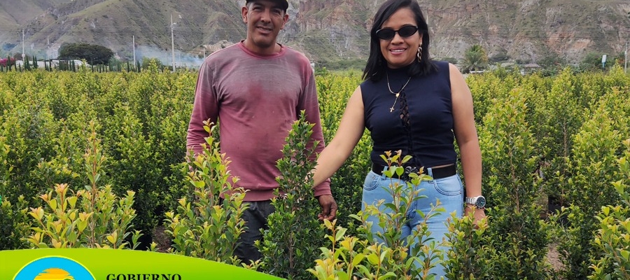 MEJORAMIENTO DE ESPACIOS VERDES. MEJORAMIENTO DE ESPACIOS VERDES.