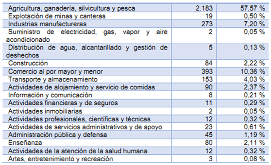 alluriquin 56