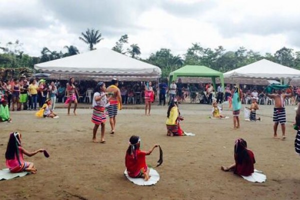min-comuna-tsachila-otongo-mapali-14DADB3DD-3203-A93F-B366-BA4D7C6B4CA3.jpg